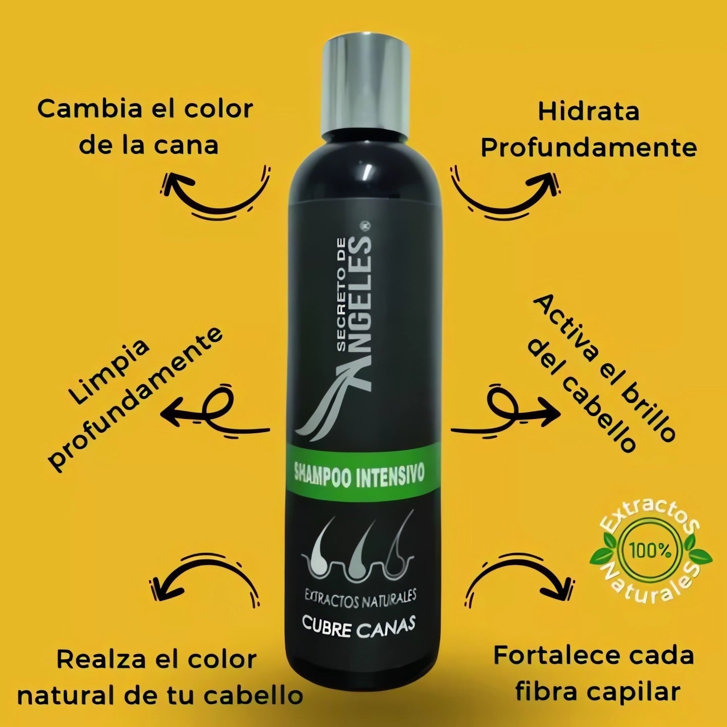 Original Shampoo Cubre Canas Secreto de Ángeles➕Colageno y Exfoliante GRATIS🎁