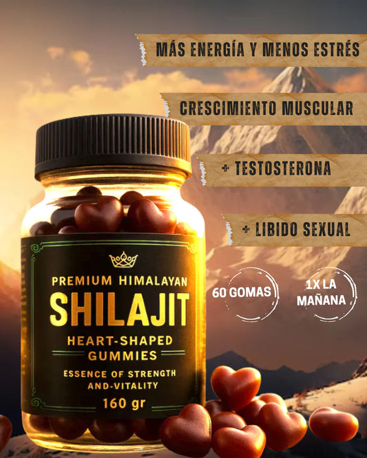 Gomas Shilajit 100% Original  (60 UND)
