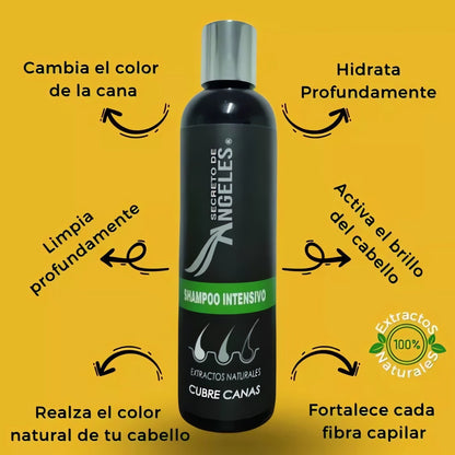 Original Shampoo Cubre Canas Secreto de Ángeles➕Colageno y Exfoliante GRATIS🎁